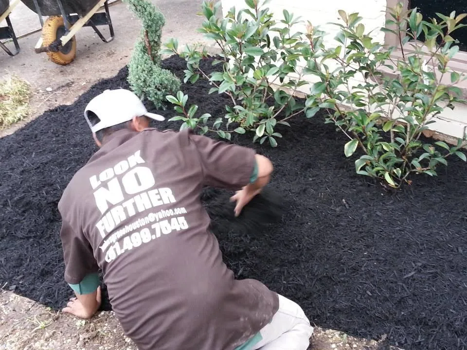 Reliable residential landscaping in Houston, TX - Brokers Grass