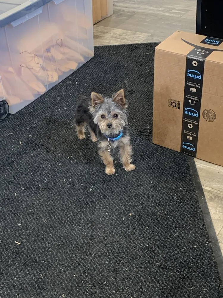 Reliable outdoor landscaping in Houston, TX by Brokers Grass