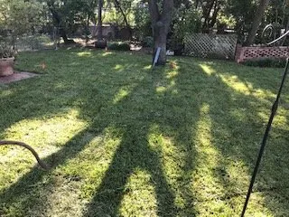 Trusted yard cleanup service experts serving Carrollton, TX - Brokers Quality Grass