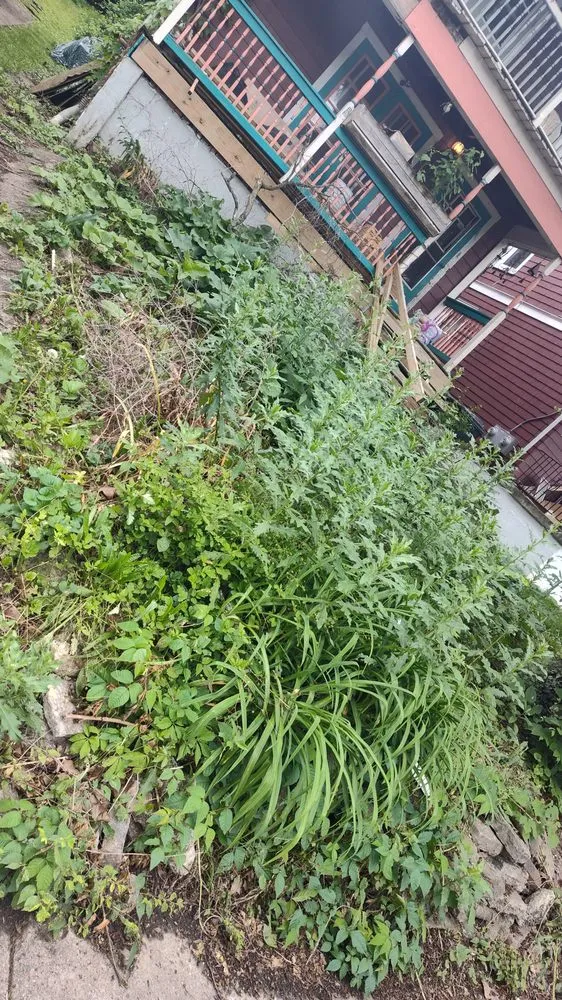 Affordable landscape design in Cincinnati, OH - Brokkr & Aitri