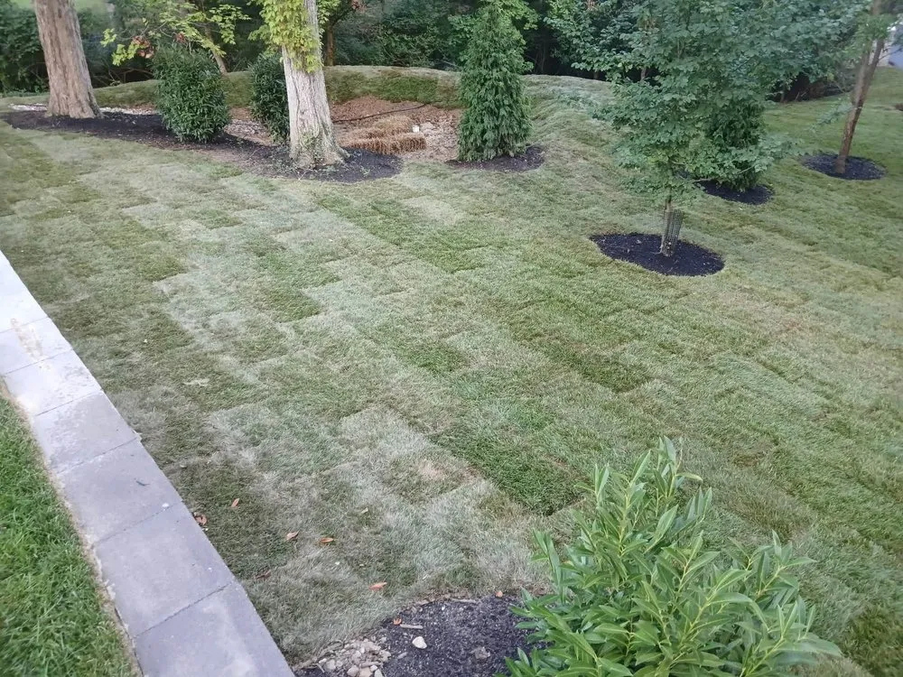 Local garden landscaping for homes in Cincinnati, OH by Brokkr & Aitri