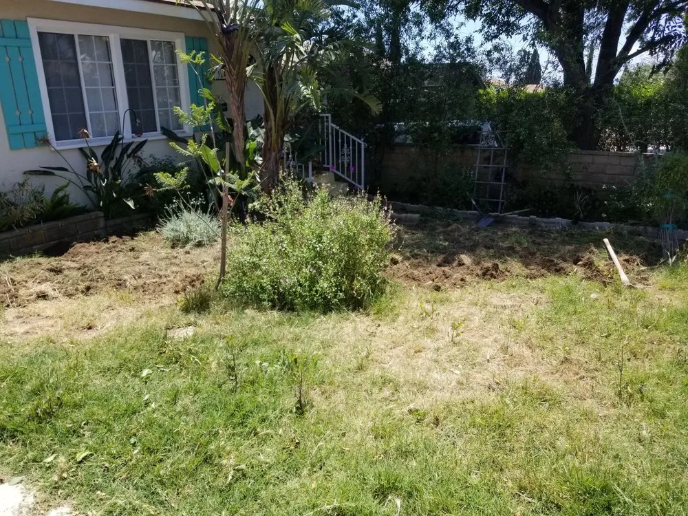 Top-rated yard maintenance experts serving Sylmar, CA - Bromen Lawn Care Services