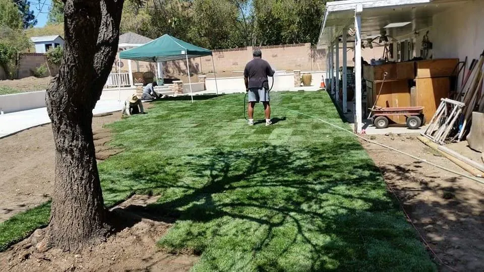 Top-rated lawn care service for homes across Sylmar, CA - Bromen Lawn Care Services