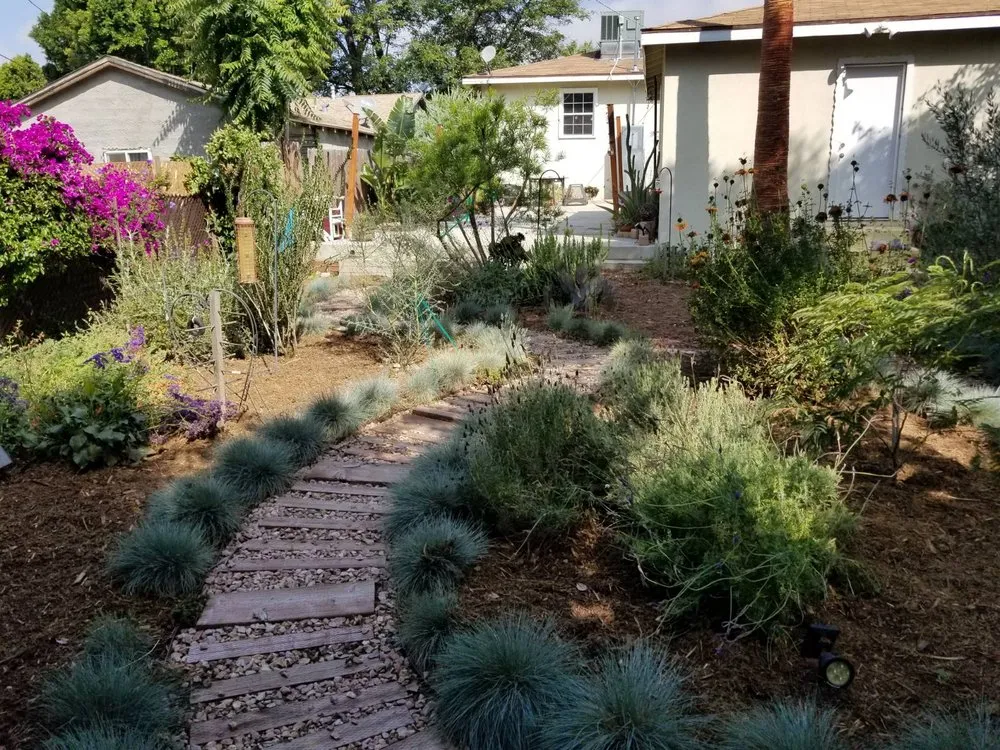 Expert yard cleanup service in Sylmar, CA - Bromen Lawn Care Services