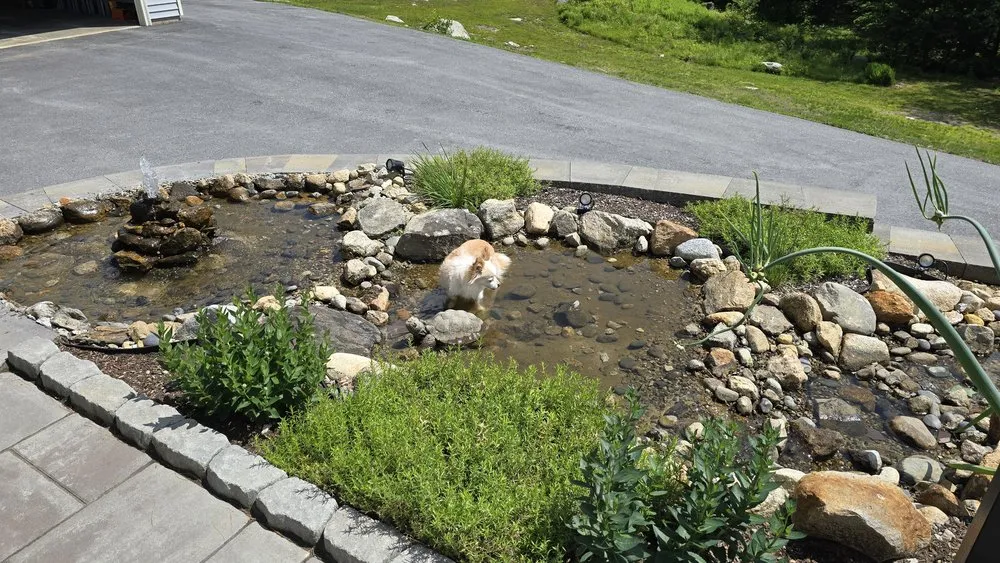 Reliable lawn mowing service experts serving Burlington, MA - Bromley Pool & Landscape