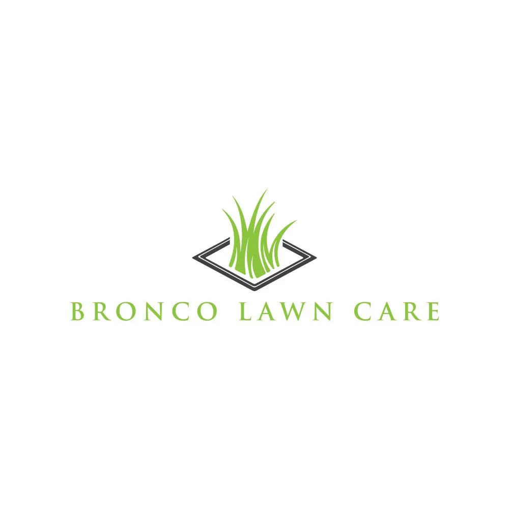 Expert landscape design in Boise, ID - Bronco Lawn Care