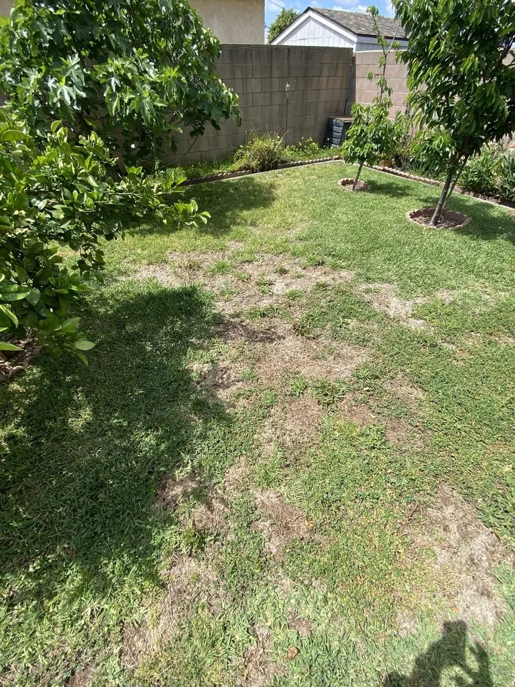 Affordable yard cleanup service experts serving Los Angeles, CA - Broncos Landscaping