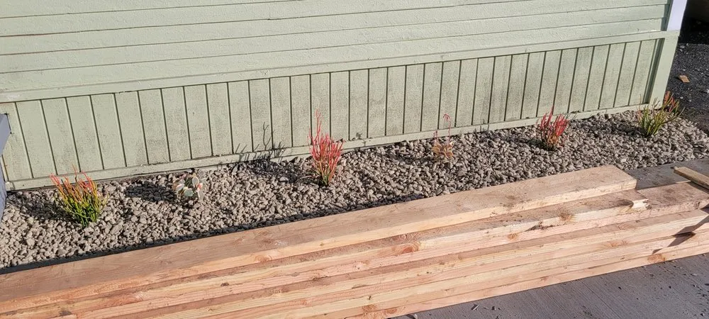 Expert landscape design for year-round maintenance in Los Angeles, CA by Broncos Landscaping