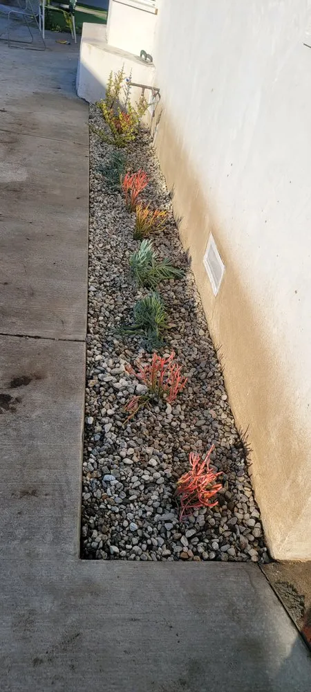 Affordable residential landscaping in Los Angeles, CA - Broncos Landscaping