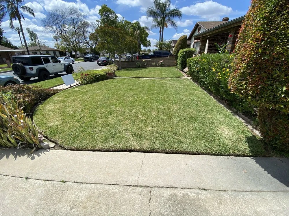 Local residential landscaping experts serving Los Angeles, CA - Broncos Landscaping