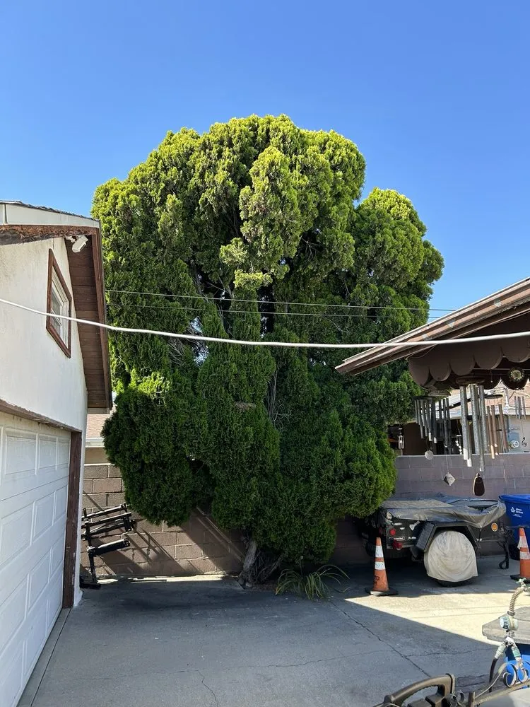 Reliable lawn mowing service experts serving Los Angeles, CA - Broncos Landscaping