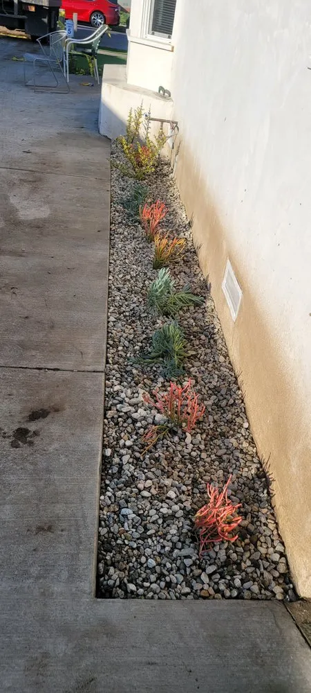 Expert yard maintenance in Los Angeles, CA - Broncos Landscaping