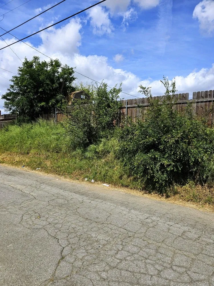 Reliable landscape design in Los Angeles, CA by Broncos Landscaping