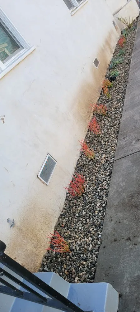 Custom lawn care service for beautiful yards in Los Angeles, CA by Broncos Landscaping