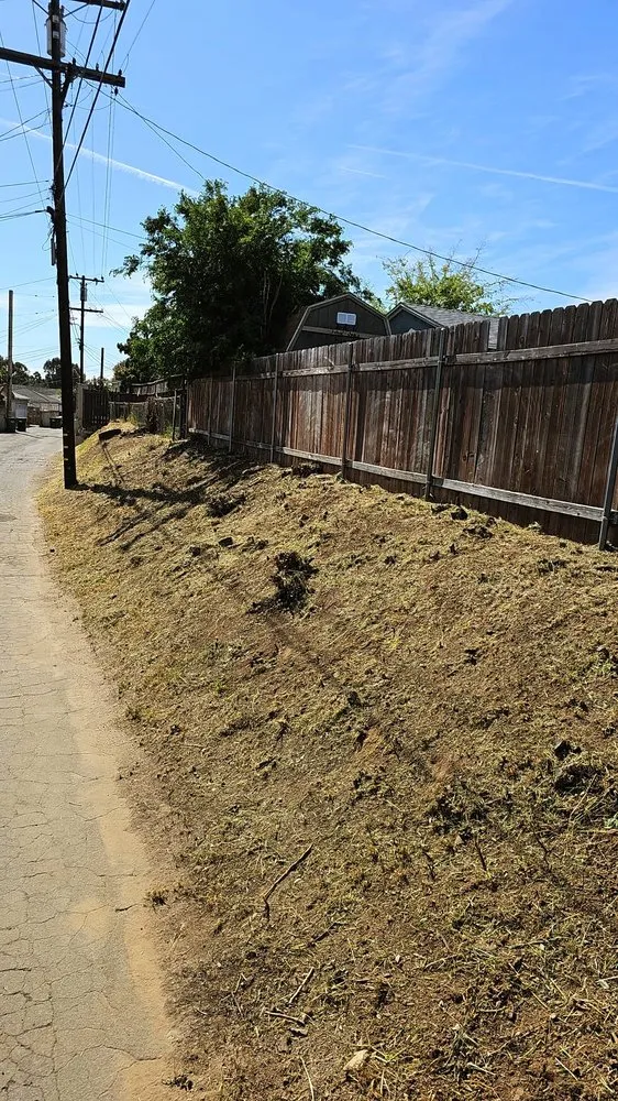 Trusted lawn care service experts serving Los Angeles, CA - Broncos Landscaping