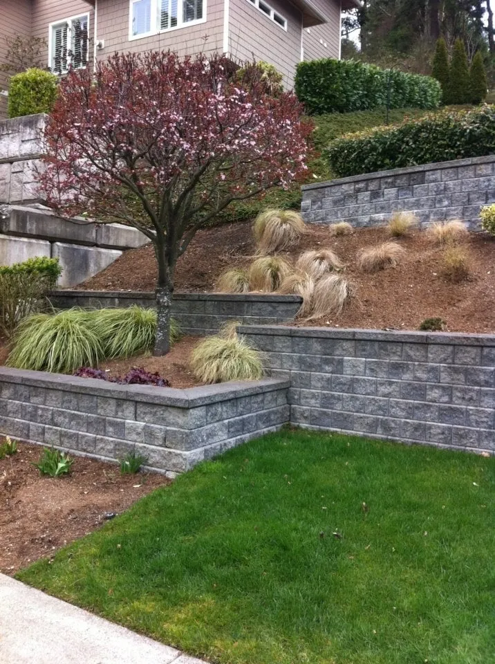 Reliable outdoor landscaping for homes in Shoreline, WA by Bronscapes