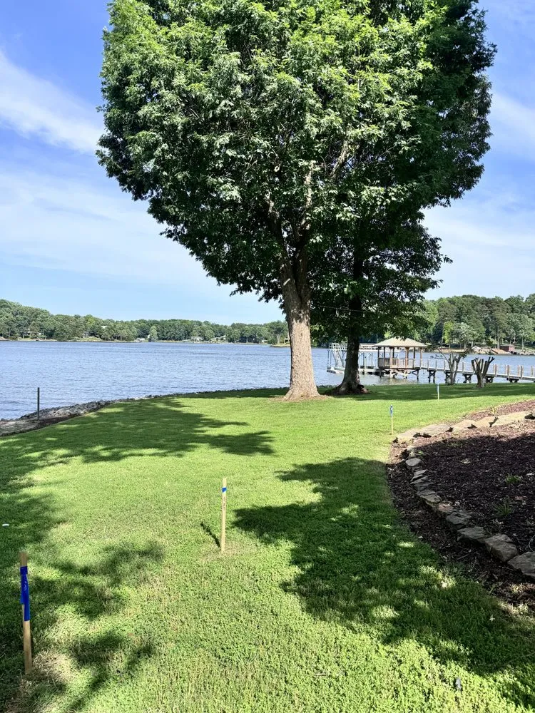 Trusted yard cleanup service in Huntersville, NC - Bronson & Relyk Lawn Care