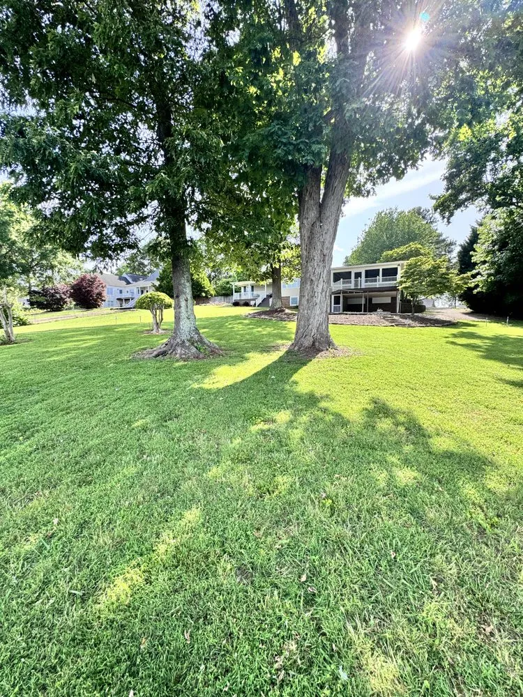 Affordable yard maintenance in Huntersville, NC by Bronson & Relyk Lawn Care