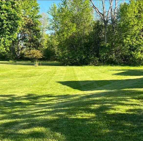 Custom residential landscaping for year-round maintenance in Huntersville, NC by Bronson & Relyk Lawn Care