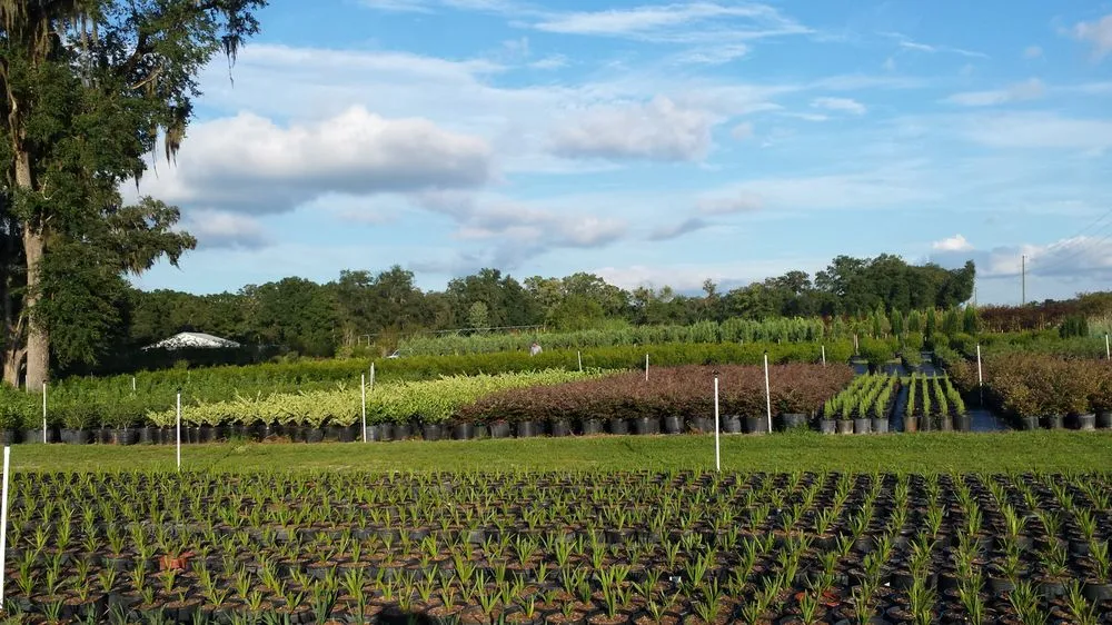 Affordable yard cleanup service in Williston, FL - Bronson Heights Family Nursery, Inc