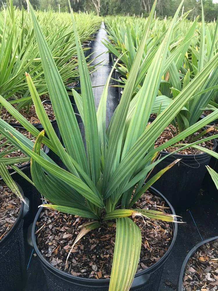 Reliable lawn mowing service for beautiful yards across Williston, FL - Bronson Heights Family Nursery, Inc