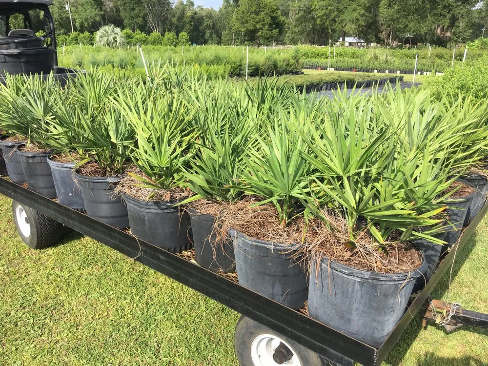 Reliable garden landscaping near you in Williston, FL by Bronson Heights Family Nursery, Inc