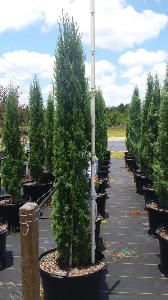 Affordable lawn care service for beautiful yards in Williston, FL by Bronson Heights Family Nursery, Inc