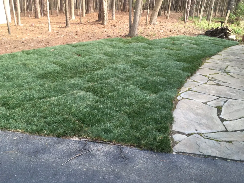Top-rated yard cleanup service in Carrboro, NC - Bronson Landscape
