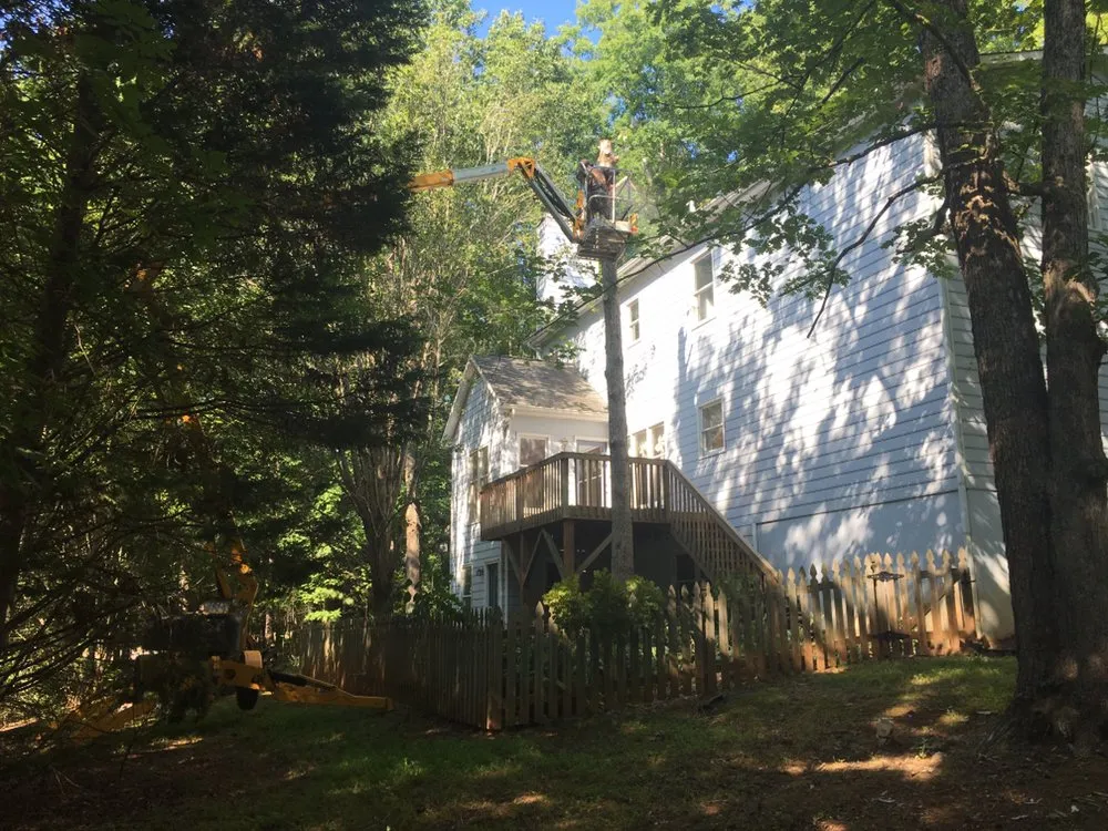 Expert residential landscaping in Carrboro, NC by Bronson Landscape