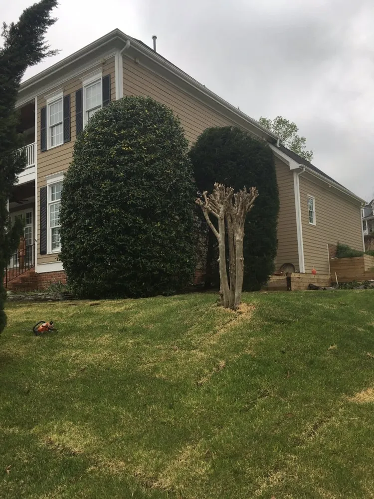 Local outdoor landscaping in Carrboro, NC by Bronson Landscape