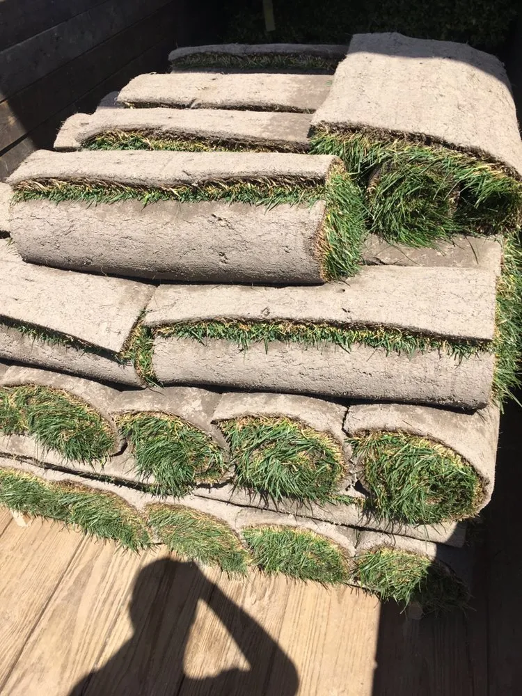 Trusted landscaping services in Carrboro, NC by Bronson Landscape