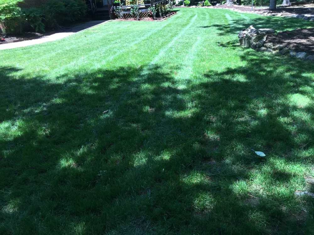 Trusted landscape design experts serving Carrboro, NC - Bronson Landscape