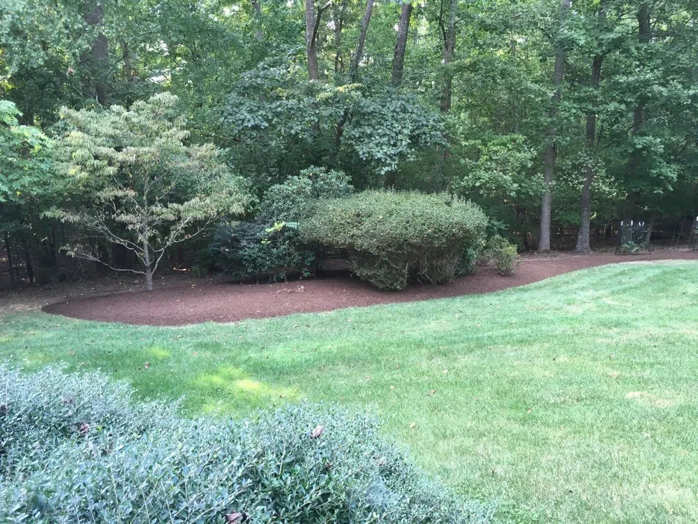 Reliable landscape installation in Carrboro, NC - Bronson Landscape