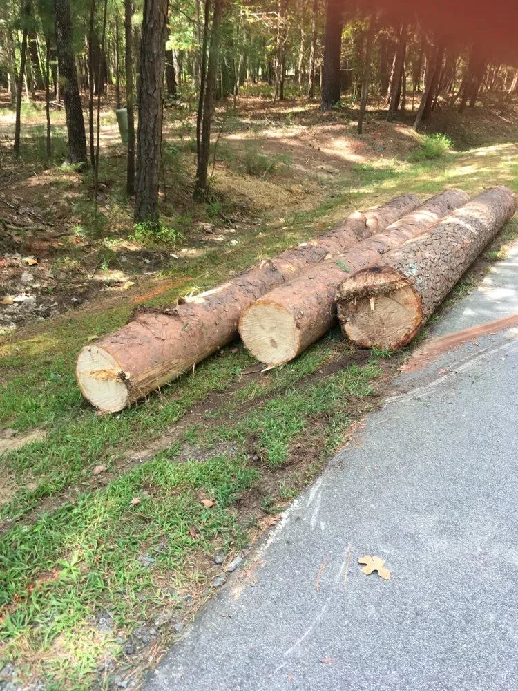 Custom landscaping services in Carrboro, NC by Bronson Landscape