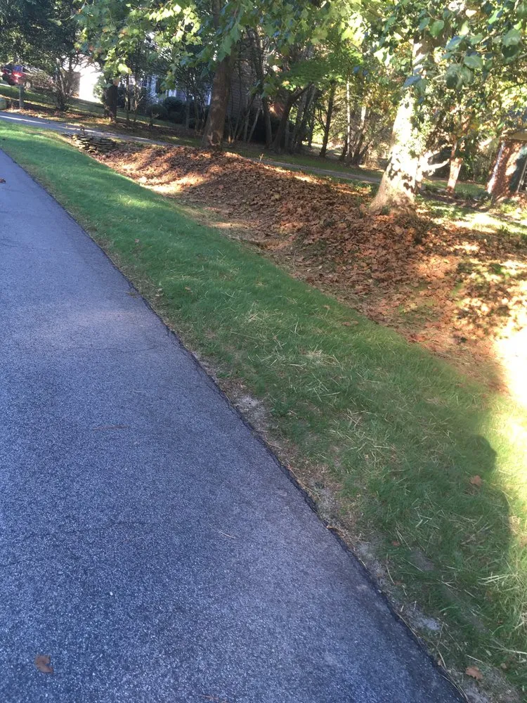 Local outdoor landscaping experts serving Carrboro, NC - Bronson Landscape