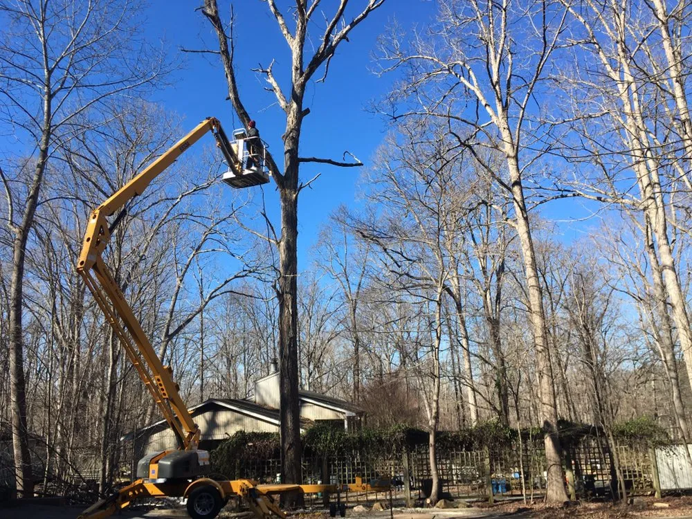 Trusted residential landscaping experts serving Carrboro, NC - Bronson Landscape