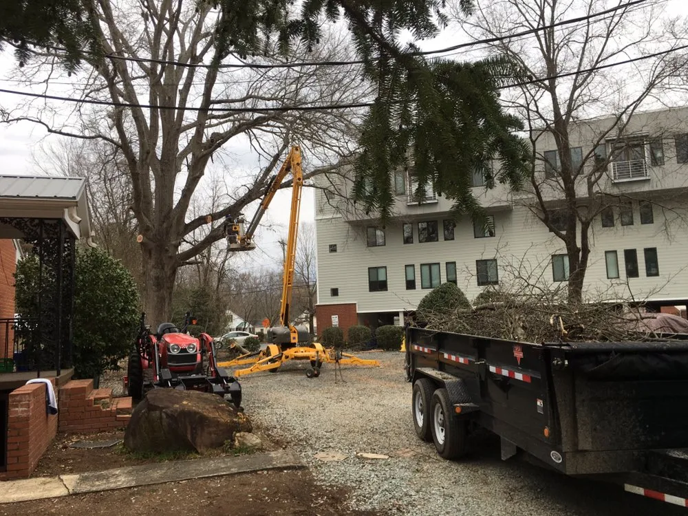 Affordable garden landscaping with custom design across Carrboro, NC - Bronson Landscape