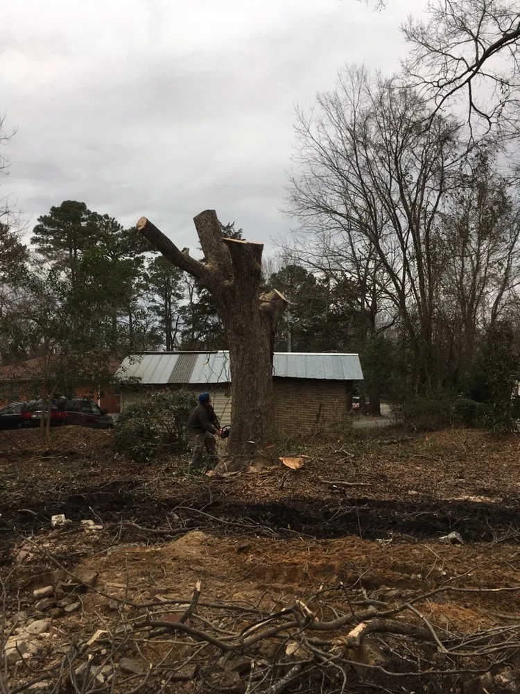 Top-rated outdoor landscaping in Carrboro, NC - Bronson Landscape