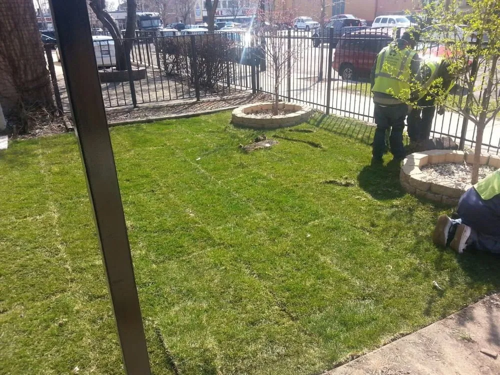 Custom landscape design in Chicago, IL - Bronzeville Green Landscaping