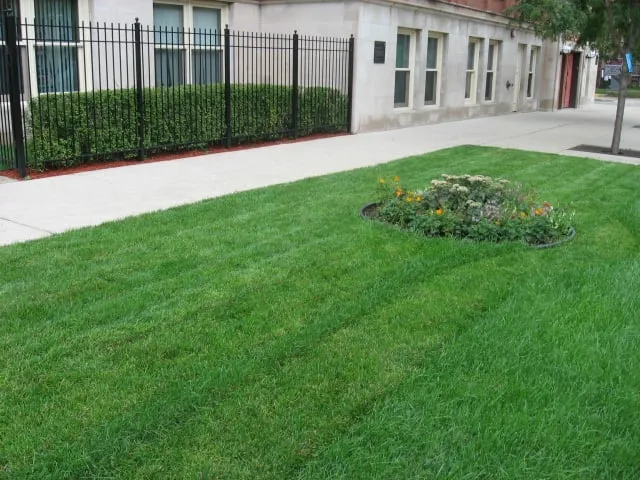 Local garden landscaping experts serving Chicago, IL - Bronzeville Green Landscaping