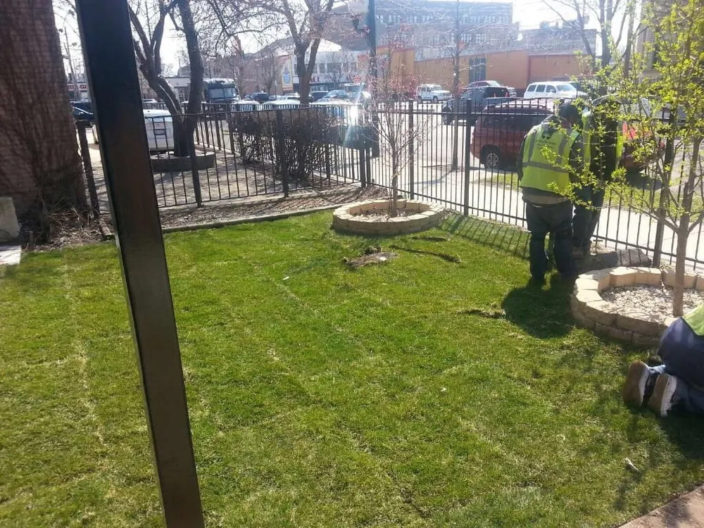Custom outdoor landscaping in Chicago, IL - Bronzeville Green Landscaping