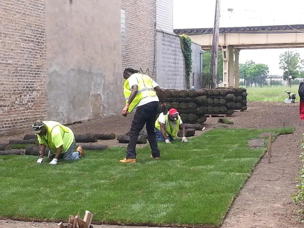 Expert landscape design in Chicago, IL - Bronzeville Green Landscaping