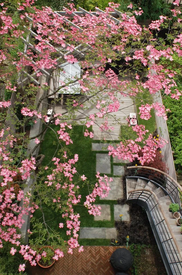 Custom landscape design for beautiful yards across Brooklyn, NY - Brook Landscape