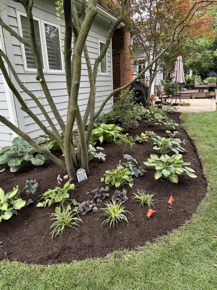 Local yard maintenance experts serving Naperville, IL - Brookdale Landscaping