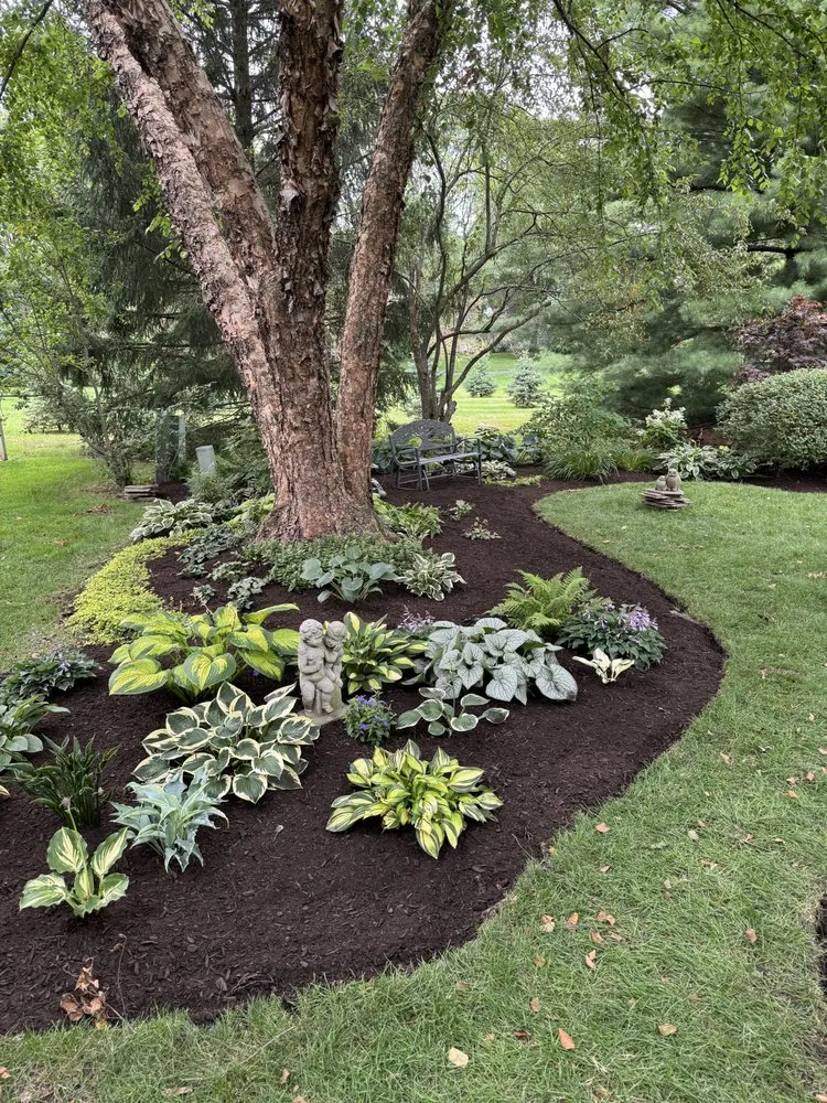 Trusted yard cleanup service near you across Naperville, IL - Brookdale Landscaping