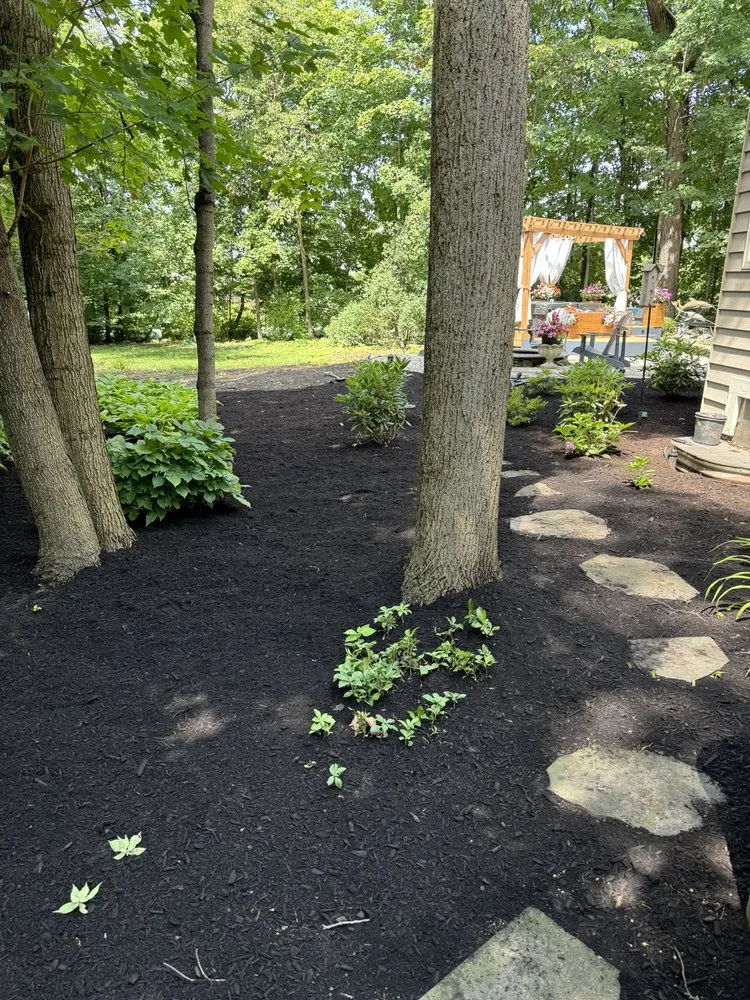 Local landscape installation in Naperville, IL by Brookdale Landscaping