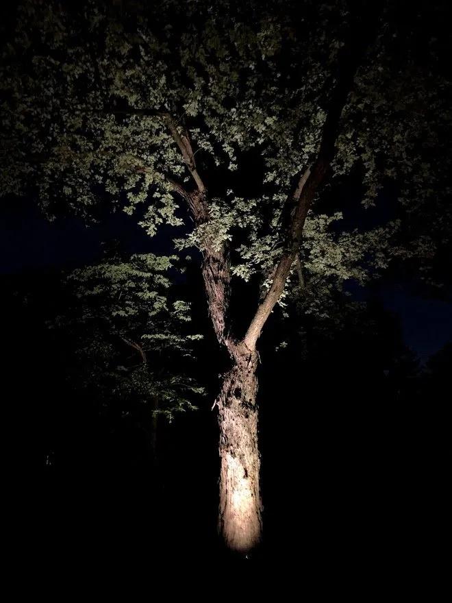 Top-rated landscaping services for homes across Naperville, IL - Brookdale Landscaping