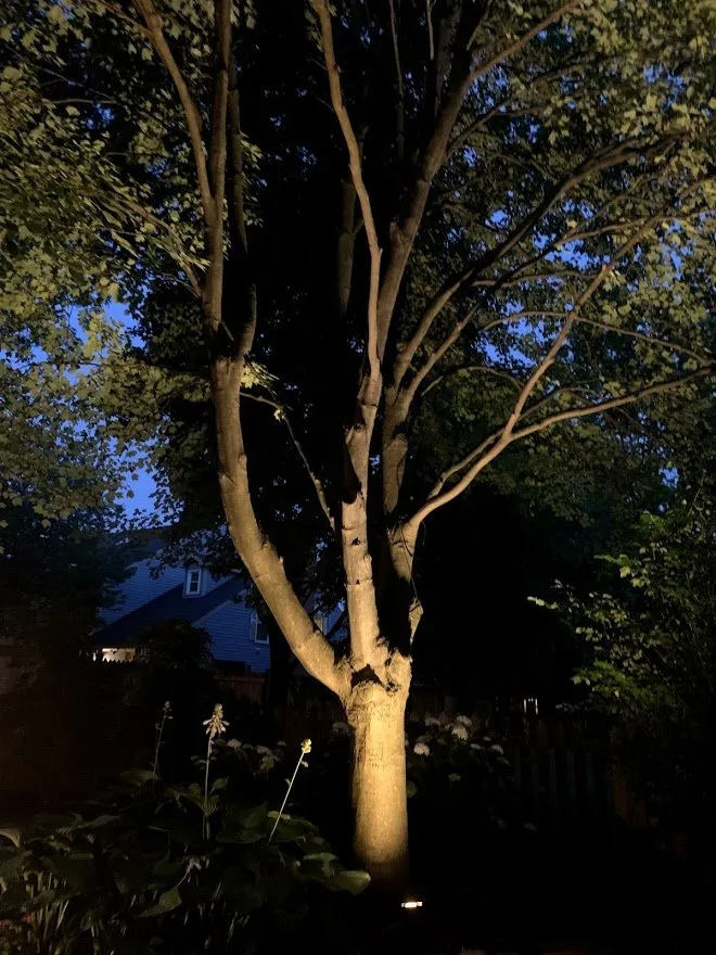 Professional landscape design experts serving Naperville, IL - Brookdale Landscaping