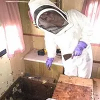 Top-rated garden landscaping experts serving Jupiter, FL - Brooke Linn's Bees & Gardens