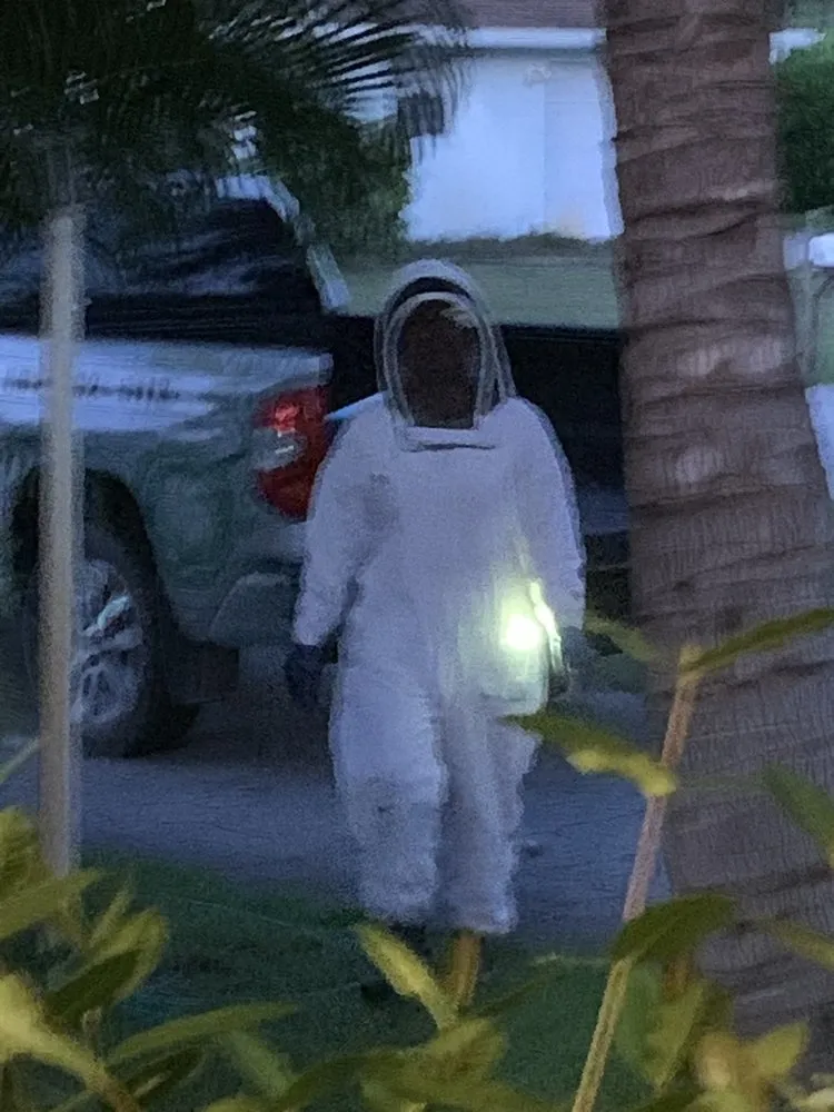 Trusted lawn care service experts serving Jupiter, FL - Brooke Linn's Bees & Gardens